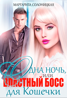 Одна ночь, или Властный босс для Кошечки / Маргарита Солоницкая