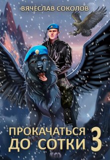 Прокачаться до сотки 3 / Вячеслав Соколов
