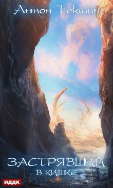 Застрявший. Книга 3. Застрявший в Кишке / ИДДК