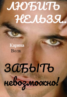Любить Нельзя, Забыть Невозможно / Карина Волк