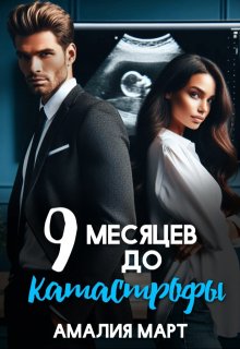Девять месяцев до катастрофы / Амалия Март