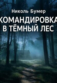Командировка в темный лес / Николь Бумер