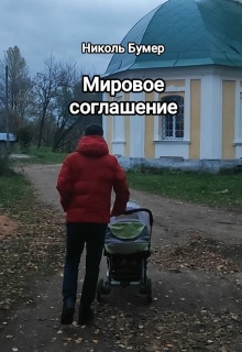 Мировое соглашение / Николь Бумер