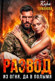 Развод. Из огня, да в полымя! / Кира Туманова