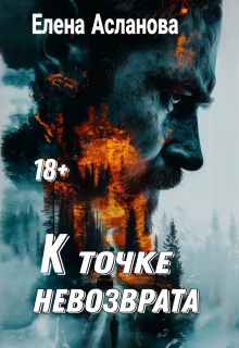 К точке невозврата / Елена Асланова