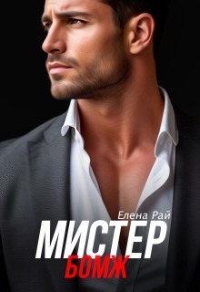 Мистер Бомж / Елена Рай